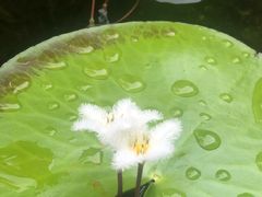 -海韵人家.海景花园经典云南菜(双廊店)