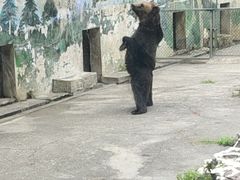 -成都动物园