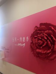 -北京米扬丽格医疗美容·联合丽格鼻整形中心