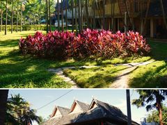 -西双版纳傣族园