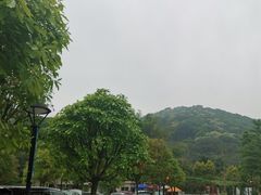 -天鹿湖森林公园