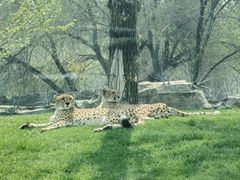 -北京野生动物园