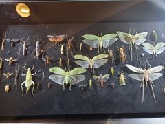 -燕莎友谊商城(亮马桥店)