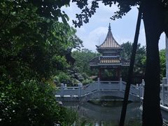 -顺峰山公园