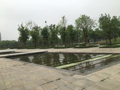 -南翔镇银翔湖公园