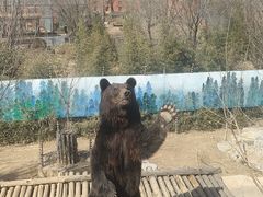 -济南野生动物世界