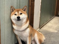 -三目仓咖啡(贤南路店)