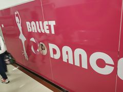 -陕西省小天鹅艺术团