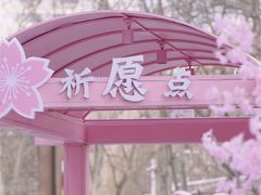 -金茂览秀城