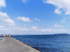 -后海村