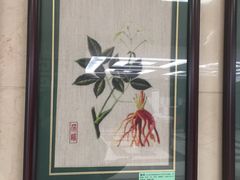 -中国中医科学院西苑医院(本部)
