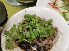 -苏启渔港(云南北路店)