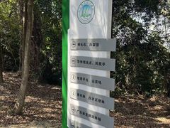 -火炉山森林公园
