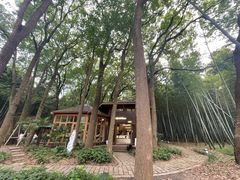 -同里国家湿地公园