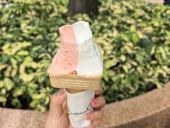 -柠檬车露(卖草地店)