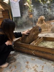 -Zoolung Zoolung动物主题公园(海信广场店)