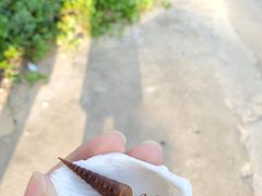 -东海岛旅游度假区