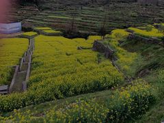 -四明山国家森林公园