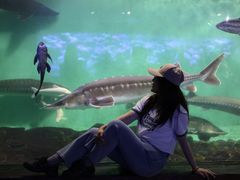 -太平洋海底世界