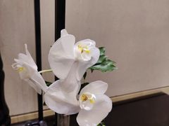-北京四季酒店