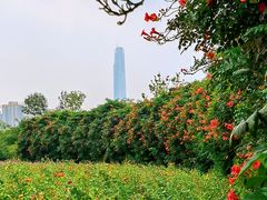 -水西公园