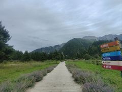 -九寨沟爱情海景区
