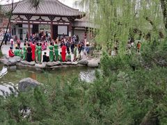 -西安青龙寺遗址景区