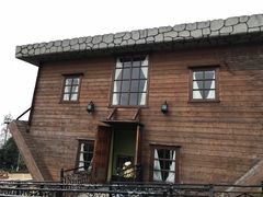 -金山农民画村-枫泾波兰倒置屋