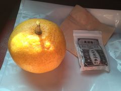 -朝安泰迪熊博物馆