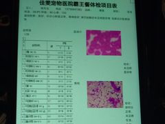 -佳雯宠物医院(金华南路分院)