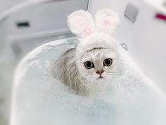 -comecome来吧宠物(奥克斯中心店)