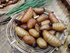 -昆虫窝子·特色云南菜(拓东路总店)