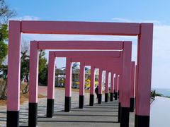 -漳州滨海火山岛自然生态风景区