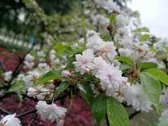 -白塘生态植物园