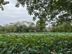 -杭州植物园