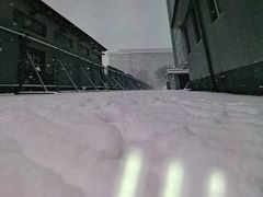 -北京九华山庄会展酒店