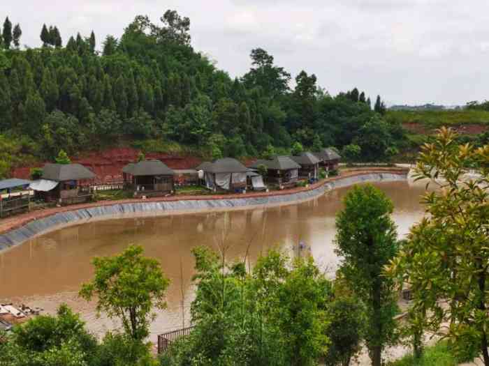 七彩大庄园-"空气新鲜,风景美,一家人一起采摘果实,非.