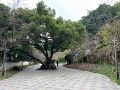 -乌山风景区