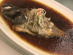 清蒸桂鱼-白金汉爵大酒店·中餐厅(相城店)