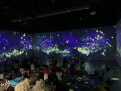 -小鸡哆哆故事屋·儿童乐园(嘉里城店)