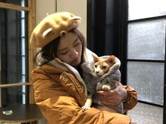 -猫色咖啡·猫咖
