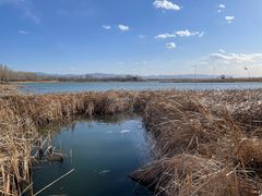 -野鸭湖国家湿地公园