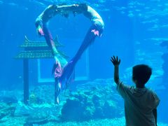 -涛·海底餐厅·美人鱼·自助餐·海底隧道(三亚海棠湾洲际度假酒店)