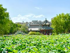 -莲池书院博物馆