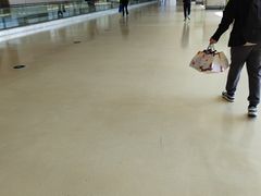 -哈尔滨太平国际机场-T2航站楼