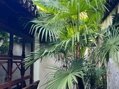 -上海醉白池公园