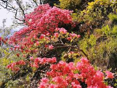 -西泰山风景区