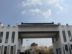 -天王浮山樱花园