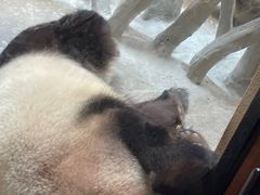 -宁波野生动物园