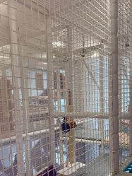 -奈尔宝·儿童乐园·亲子餐厅(华采天地店)